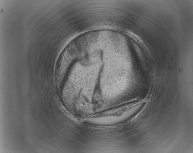 X0000067911236200605041635