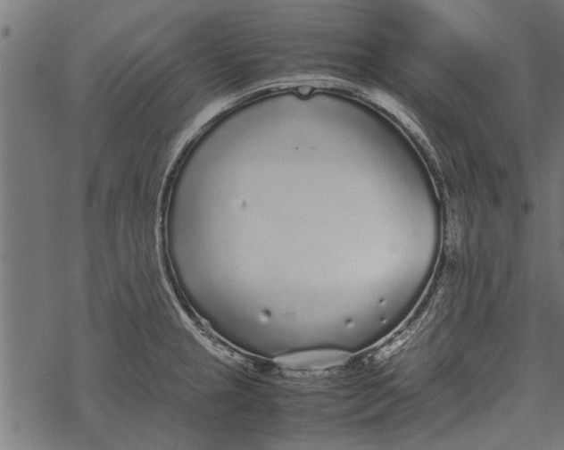 X0000067911237200605041635