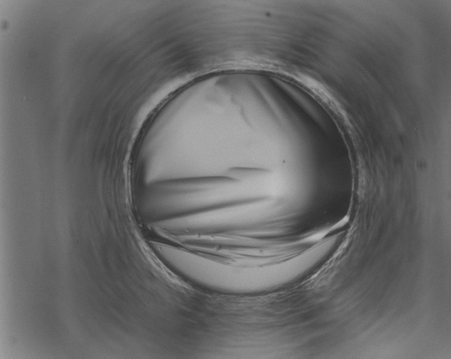 X0000067911238200605041635