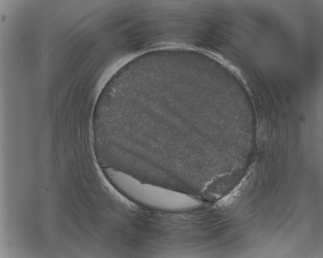 X0000067911239200605041635