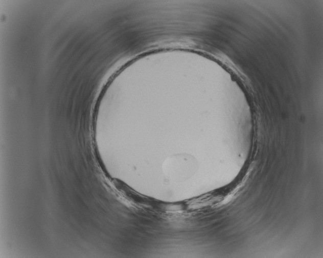 X0000067911240200605041635