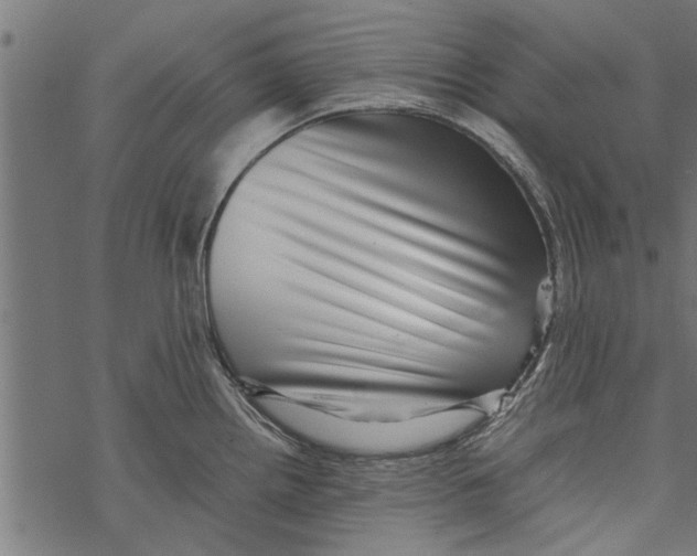 X0000067911242200605041635