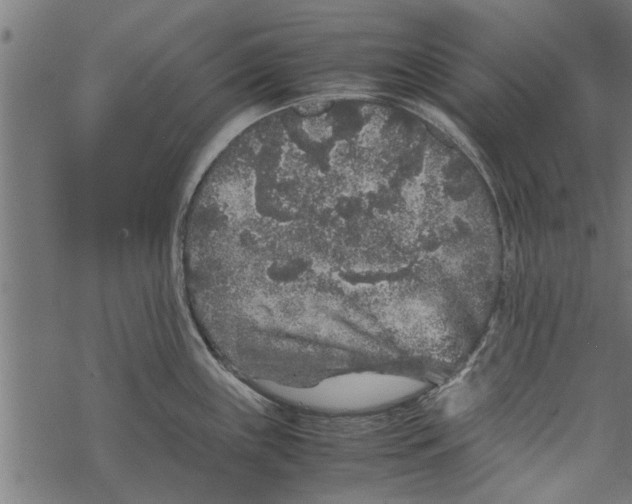 X0000067911243200605041635