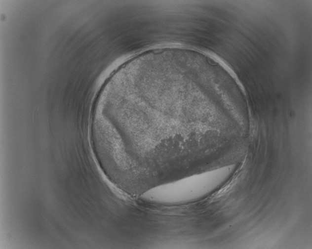 X0000067911245200605041635