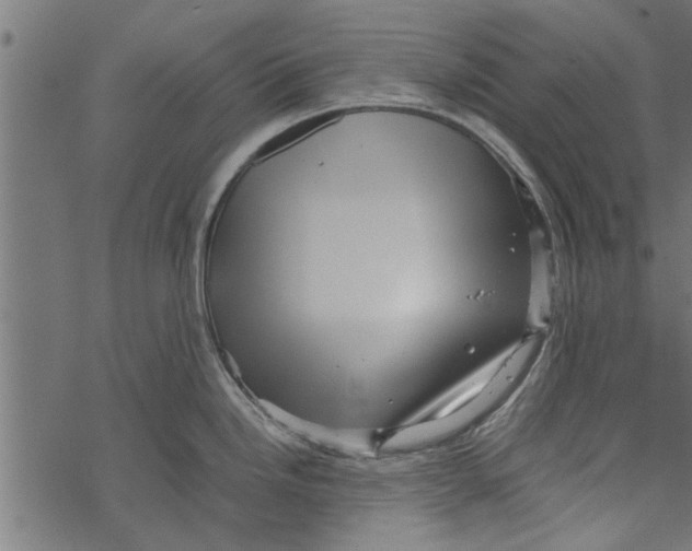 X0000067911246200605041635