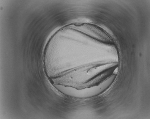 X0000067911248200605041635