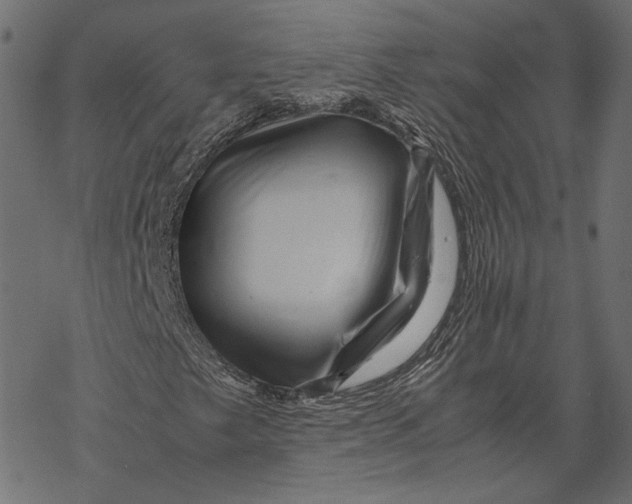 X0000067911249200605041634