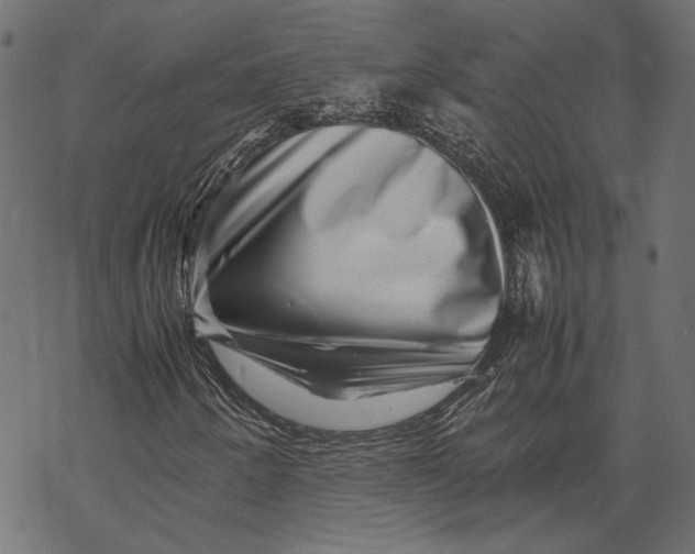 X0000067911250200605041634