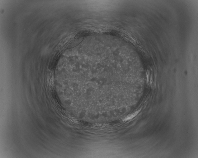 X0000067911251200605041634