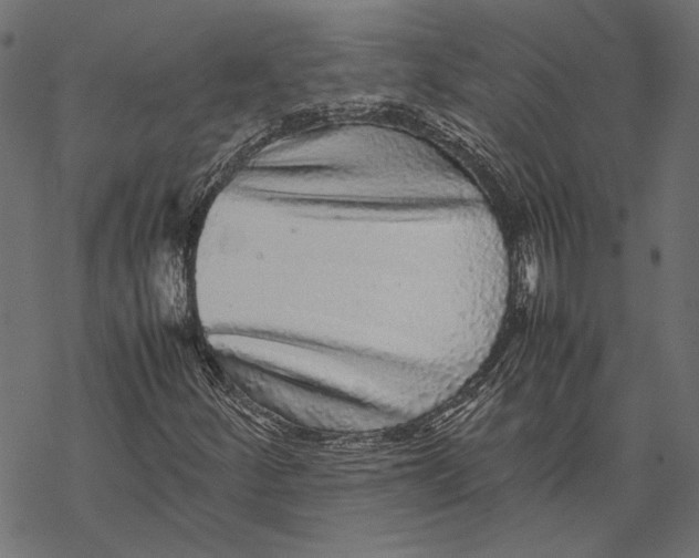 X0000067911252200605041634