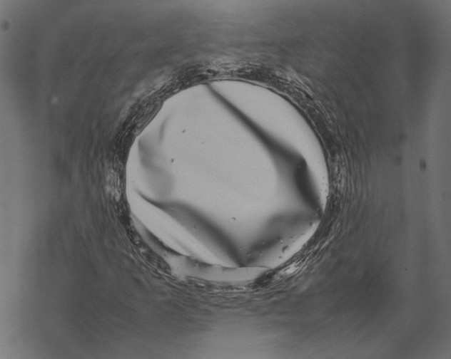 X0000067911253200605041634