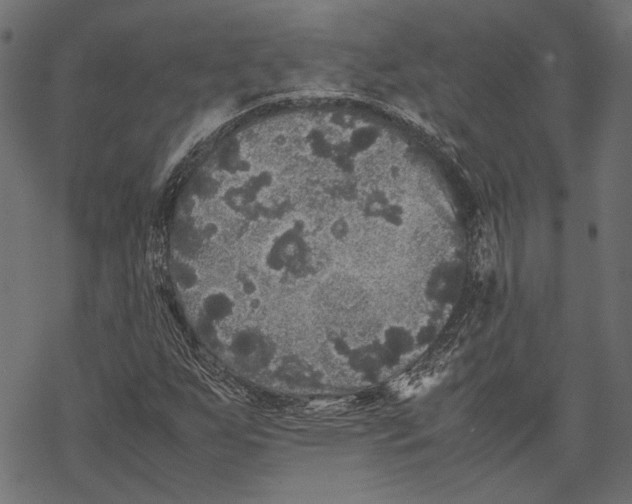 X0000067911255200605041634