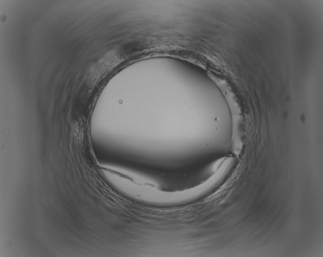 X0000067911257200605041634