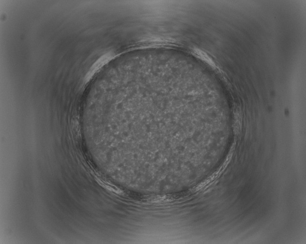 X0000067911259200605041634