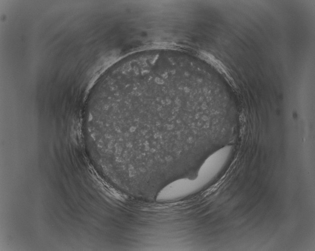 X0000067911260200605041634