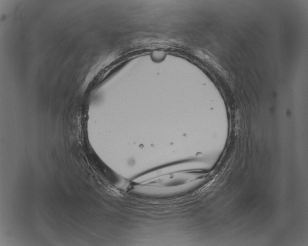 X0000067911261200605041634