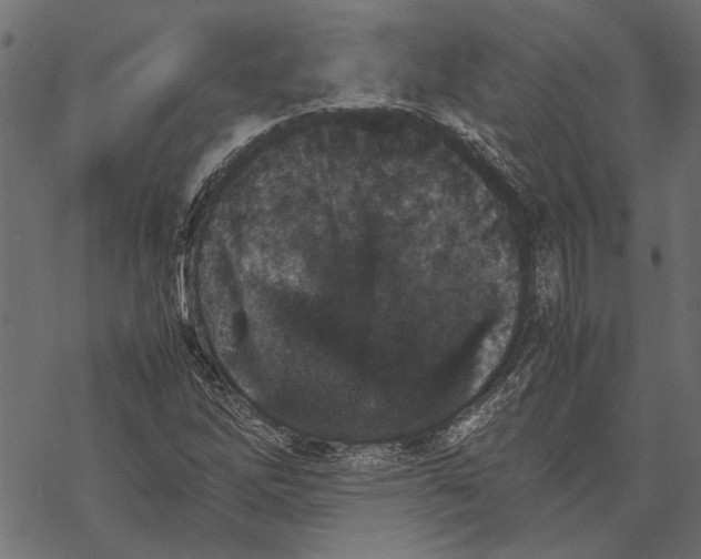 X0000067911262200605041634