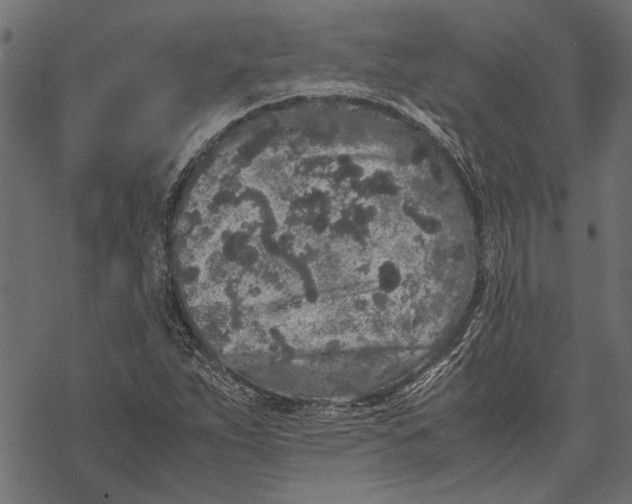 X0000067911263200605041634