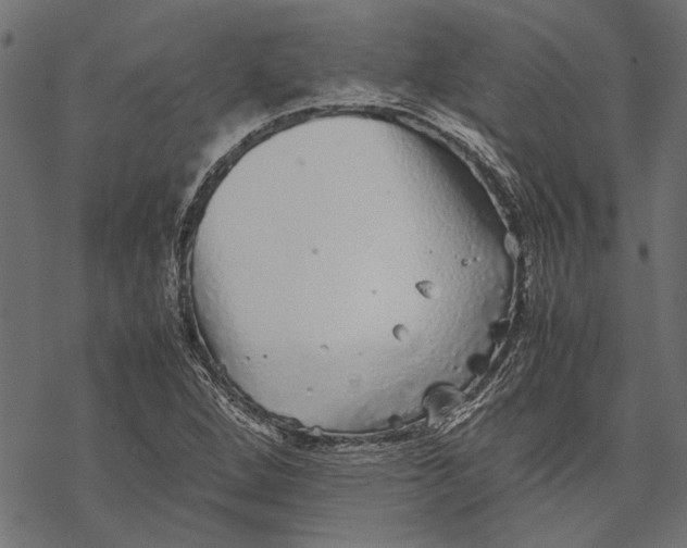 X0000067911264200605041634