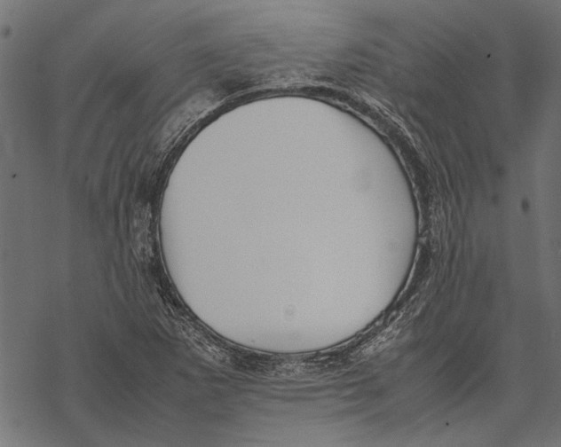 X0000067911265200605041634