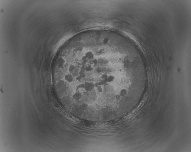 X0000067911267200605041634