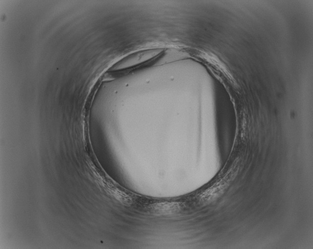 X0000067911268200605041634