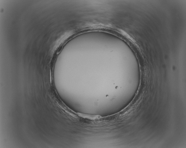 X0000067911269200605041634