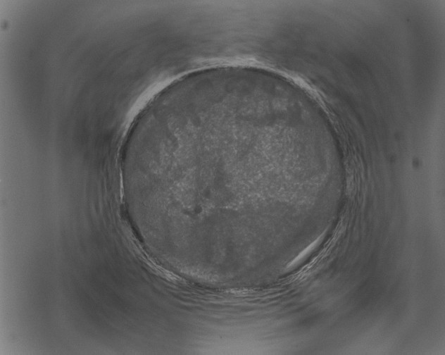 X0000067911271200605041634