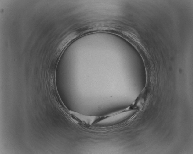 X0000067911273200605041634