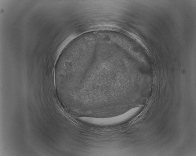 X0000067911275200605041634