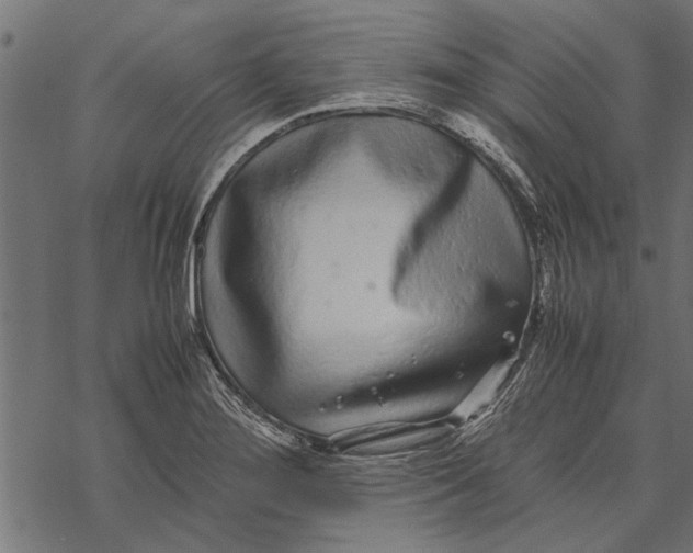 X0000067911276200605041634