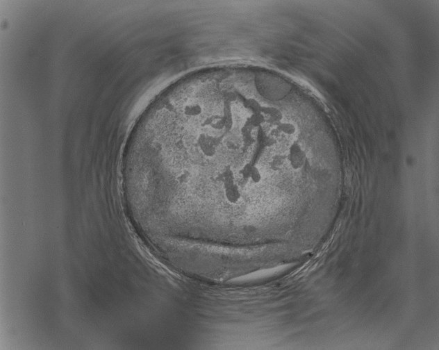 X0000067911279200605041634