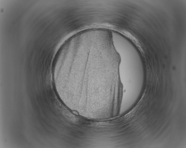 X0000067911280200605041634