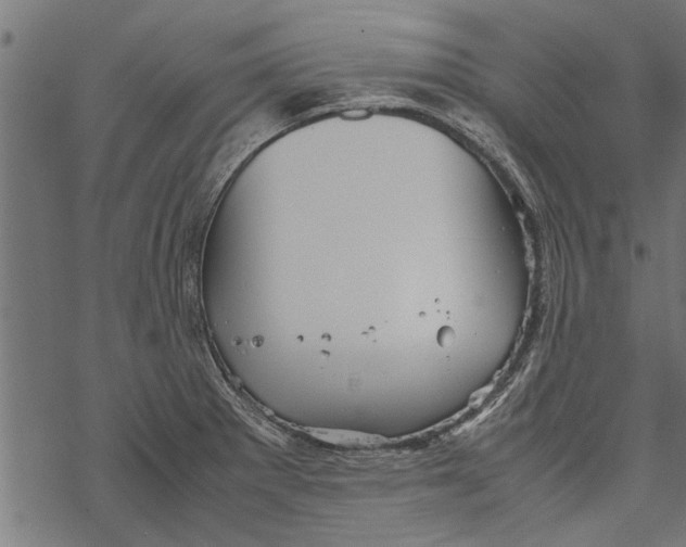 X0000067911281200605041634