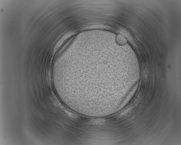 X0000067911282200605041634