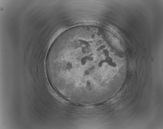 X0000067911283200605041634