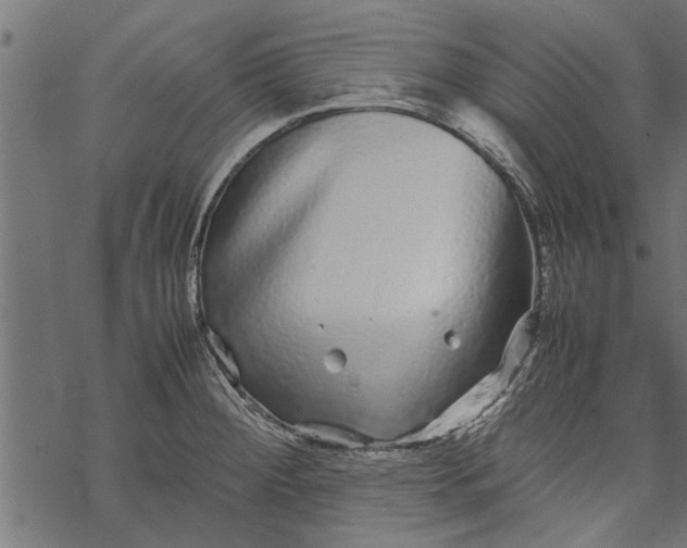 X0000067911284200605041634