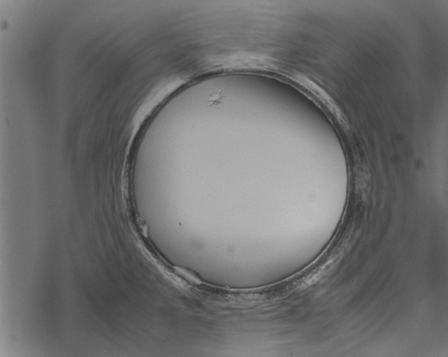 X0000067911285200605041634