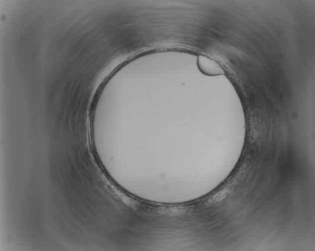 X0000067911286200605041634