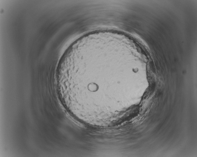 X0000067911287200605041634