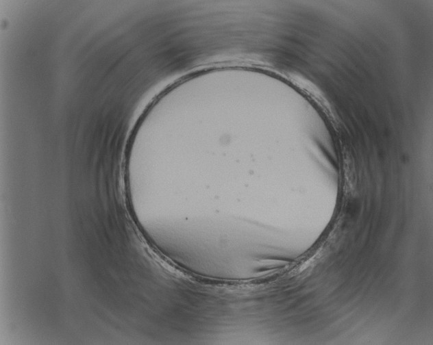 X0000067911288200605041634