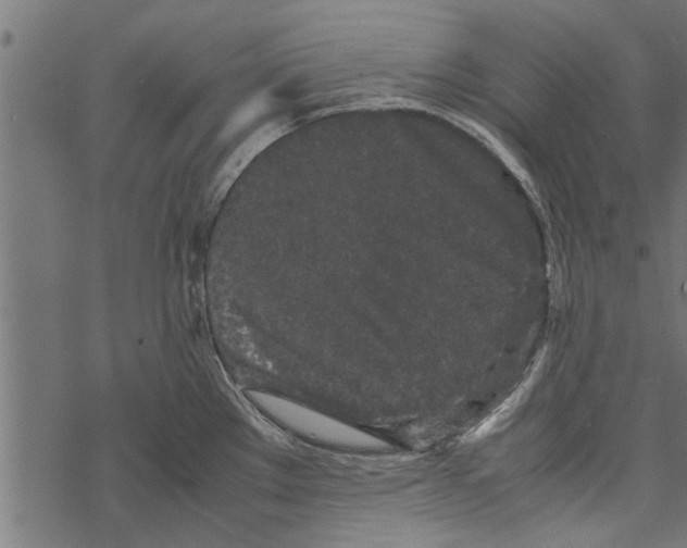 X0000067911289200605041634