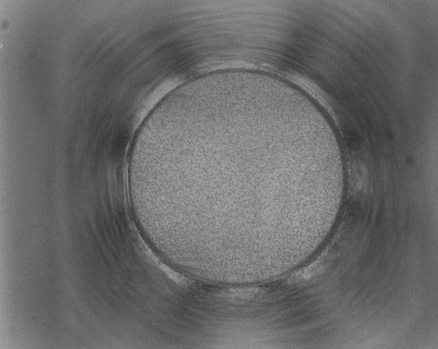 X0000067911290200605041634