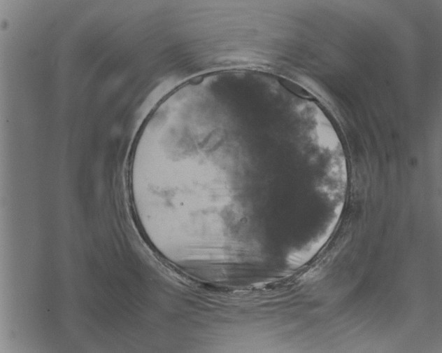 X0000067911291200605041634