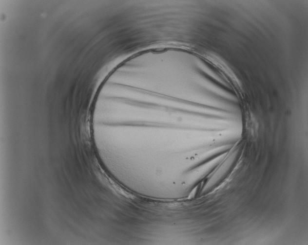 X0000067911292200605041634