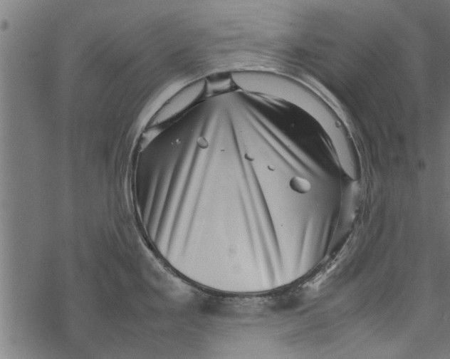 X0000067911293200605041634