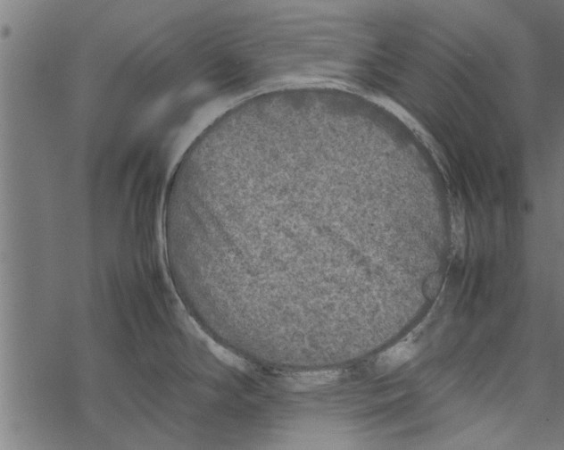 X0000067911294200605041634