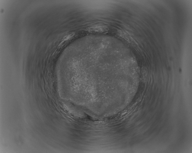 X0000067911297200605041633