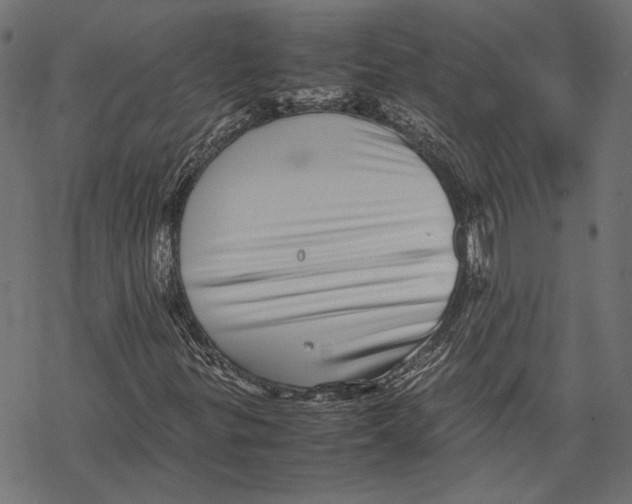 X0000067911299200605041633