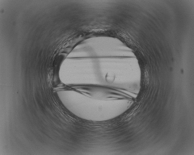 X0000067911300200605041633